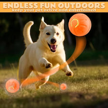 Cargar imagen en el visor de la galería, Pelota Eléctrica Inteligente para Perros y Gatos – Rebote Automático por Gravedad
