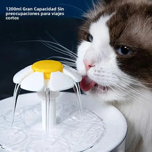 Cargar imagen en el visor de la galería, Fuente de Agua para Gatos 1.2L USB – Silenciosa con Filtro

