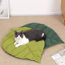 Cargar imagen en el visor de la galería, Alfombra Cama con Forma de Hoja – Algodón 100% Lavable para Gatos y Perros
