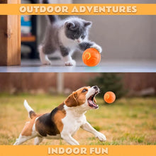Cargar imagen en el visor de la galería, Pelota Eléctrica Inteligente para Perros y Gatos – Rebote Automático por Gravedad
