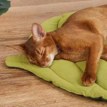 Cargar imagen en el visor de la galería, Alfombra Cama con Forma de Hoja – Algodón 100% Lavable para Gatos y Perros

