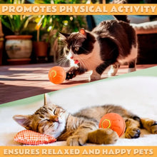 Cargar imagen en el visor de la galería, Pelota Eléctrica Inteligente para Perros y Gatos – Rebote Automático por Gravedad
