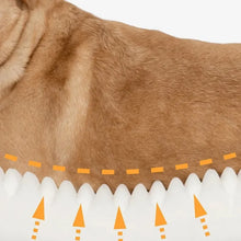 Cargar imagen en el visor de la galería, Sofá Cama Moderno para Mascotas – Lavable, Impermeable y Desmontable
