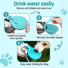 Cargar imagen en el visor de la galería, Botella de Agua Esférica Portátil para Mascotas – Antigoteo con Cordón
