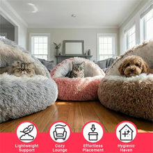 Cargar imagen en el visor de la galería, Cama Semiabierta con Forma de Concha – Nido Cálido para Gatos y Perros Pequeños
